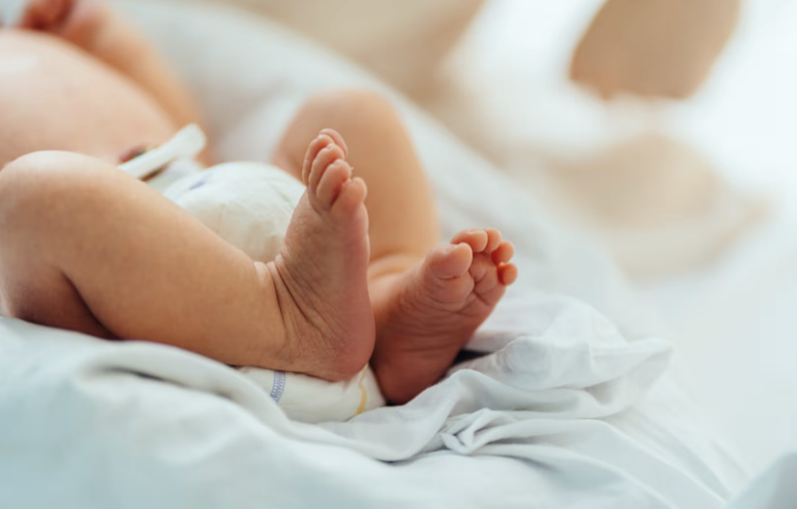 EducaSectas. Testigos Jehova Sectas Experto Miguel Perlado